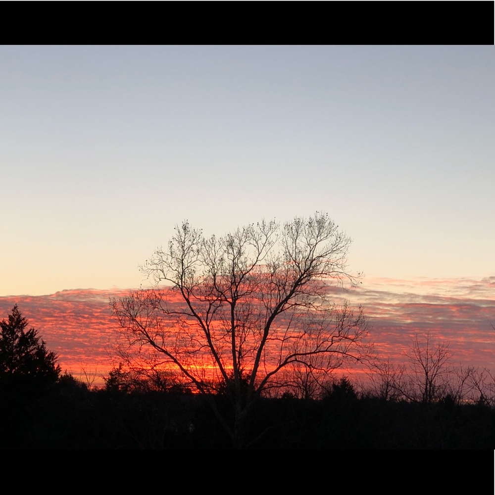 Meet your Posher, Faith